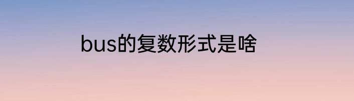 bus的复数形式是啥