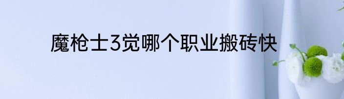 魔枪士3觉哪个职业搬砖快
