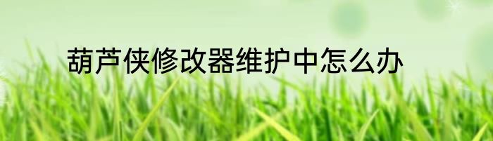 葫芦侠修改器维护中怎么办