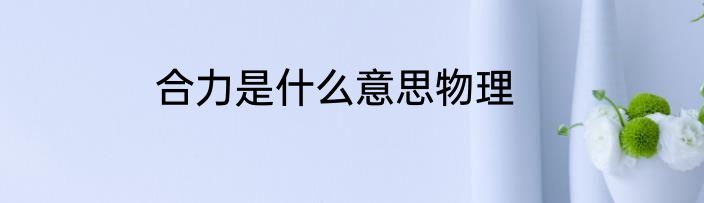 合力是什么意思物理