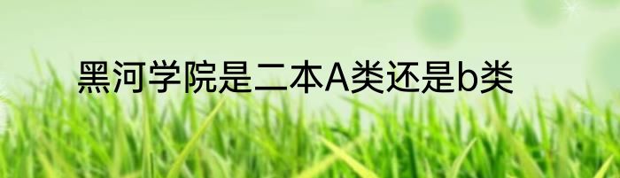 黑河学院是二本A类还是b类