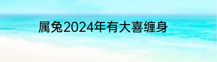 属兔2024年有大喜缠身