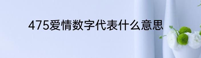 475爱情数字代表什么意思