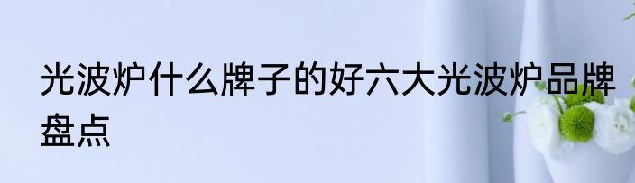 光波炉什么牌子的好六大光波炉品牌盘点