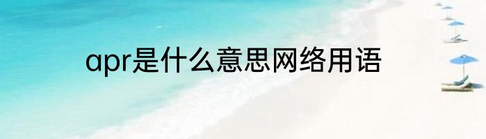 apr是什么意思网络用语