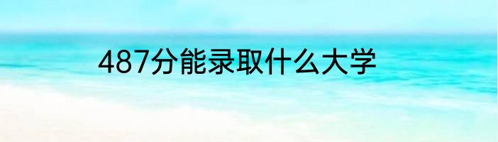 487分能录取什么大学