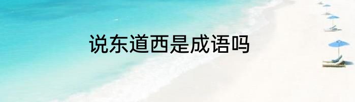 说东道西是成语吗
