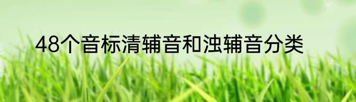 48个音标清辅音和浊辅音分类