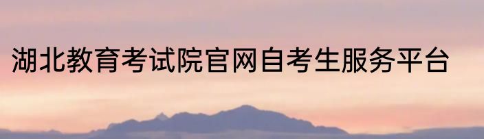 湖北教育考试院官网自考生服务平台