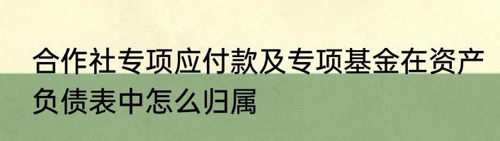 合作社专项应付款及专项基金在资产负债表中怎么归属