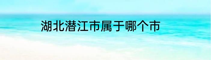 湖北潜江市属于哪个市
