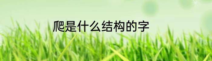 爬是什么结构的字