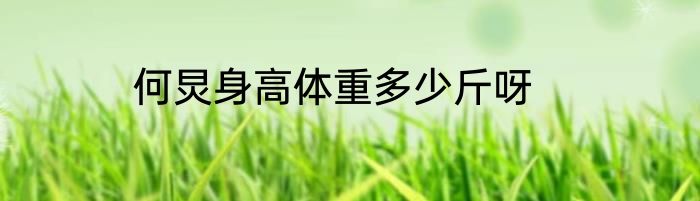 何炅身高体重多少斤呀