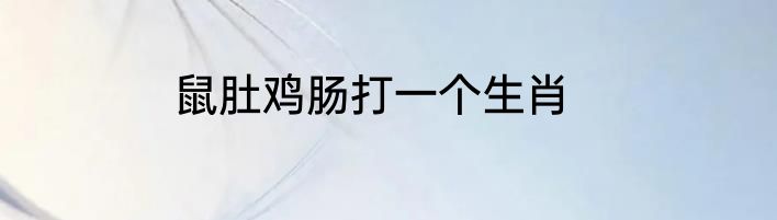 鼠肚鸡肠打一个生肖