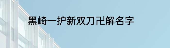 黑崎一护新双刀卍解名字