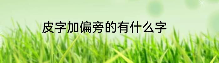 皮字加偏旁的有什么字