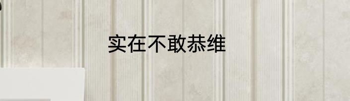实在不敢恭维