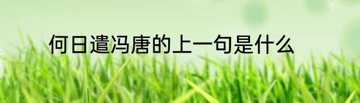 何日遣冯唐的上一句是什么