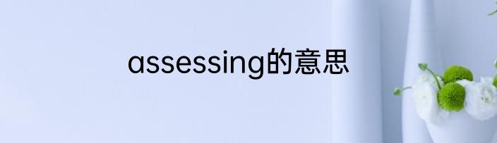 assessing的意思