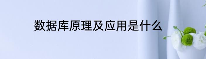 数据库原理及应用是什么