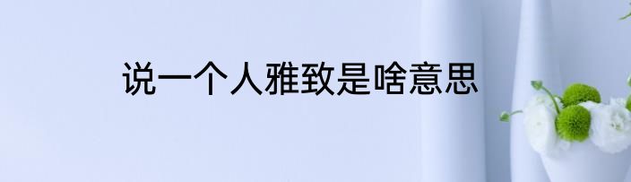 说一个人雅致是啥意思