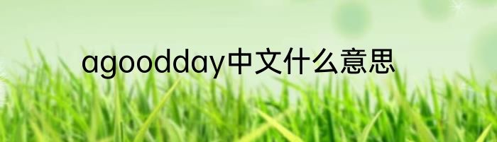 agoodday中文什么意思