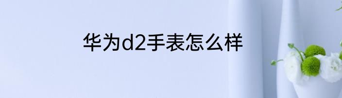 华为d2手表怎么样