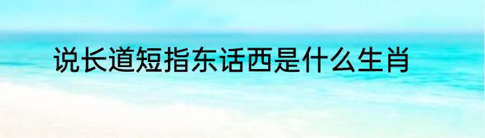 说长道短指东话西是什么生肖