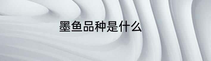 墨鱼品种是什么