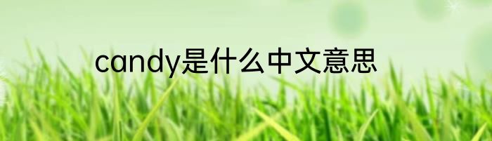 candy是什么中文意思