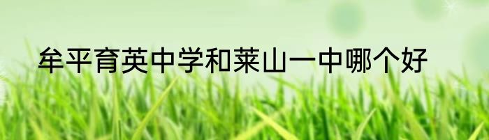 牟平育英中学和莱山一中哪个好