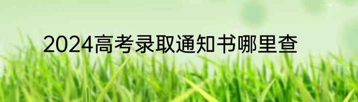 2024高考录取通知书哪里查