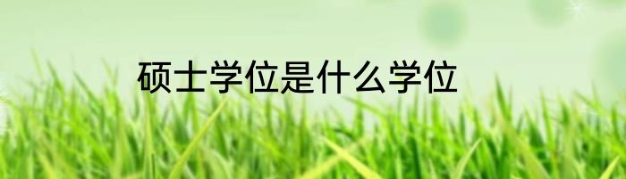 硕士学位是什么学位