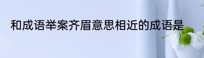 和成语举案齐眉意思相近的成语是