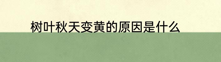 树叶秋天变黄的原因是什么