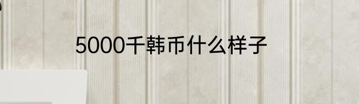 5000千韩币什么样子