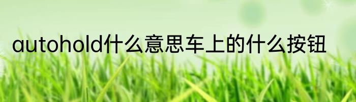 autohold什么意思车上的什么按钮