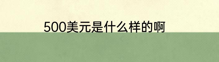 500美元是什么样的啊