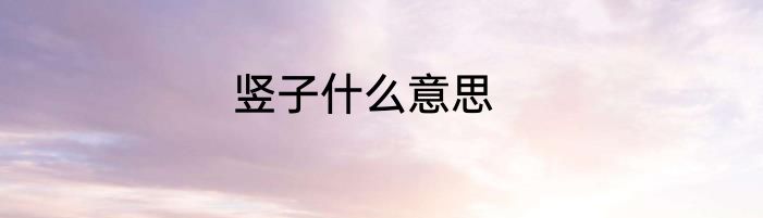 竖子什么意思