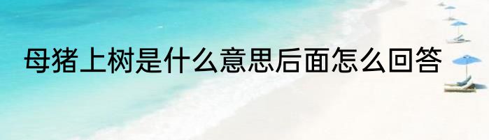 母猪上树是什么意思后面怎么回答