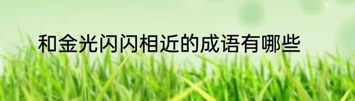 和金光闪闪相近的成语有哪些