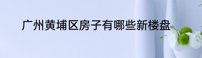 广州黄埔区房子有哪些新楼盘