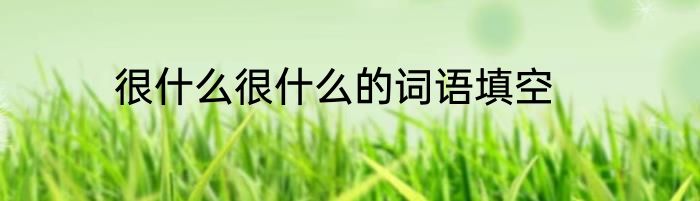 很什么很什么的词语填空