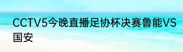 CCTV5今晚直播足协杯决赛鲁能VS国安