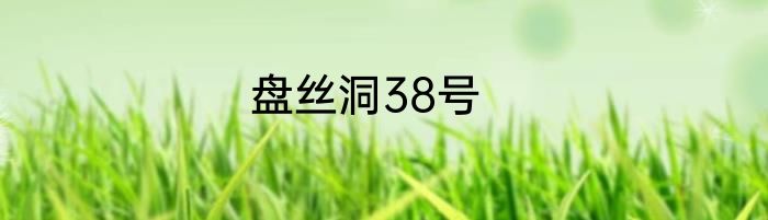 盘丝洞38号