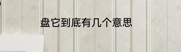 盘它到底有几个意思