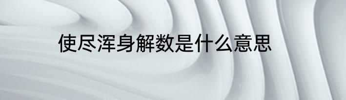 使尽浑身解数是什么意思
