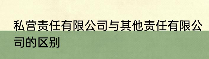 私营责任有限公司与其他责任有限公司的区别