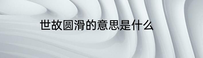 世故圆滑的意思是什么
