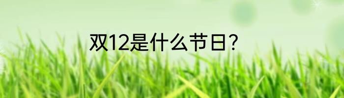 双12是什么节日?